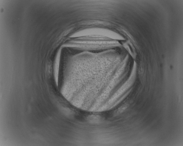 X0000081350119200702020124