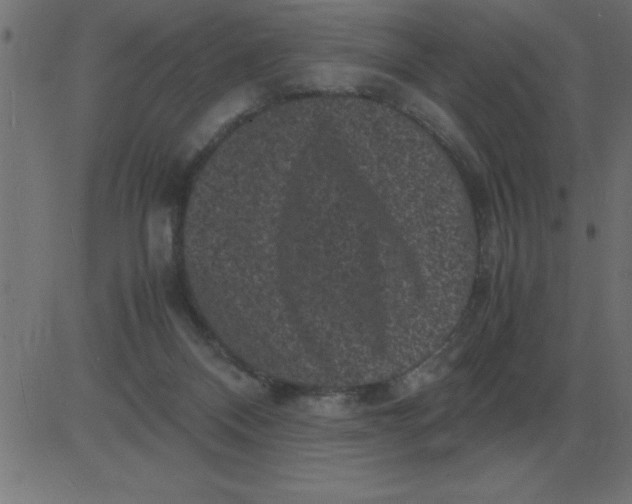 X0000081350120200702020124