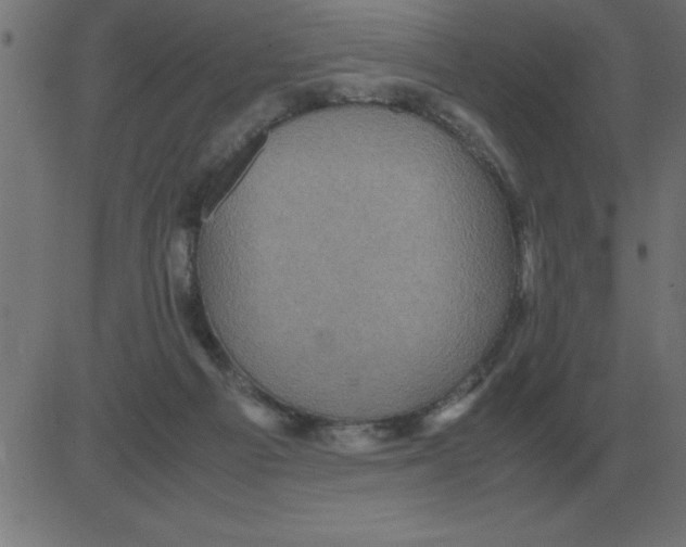 X0000081350121200702020124