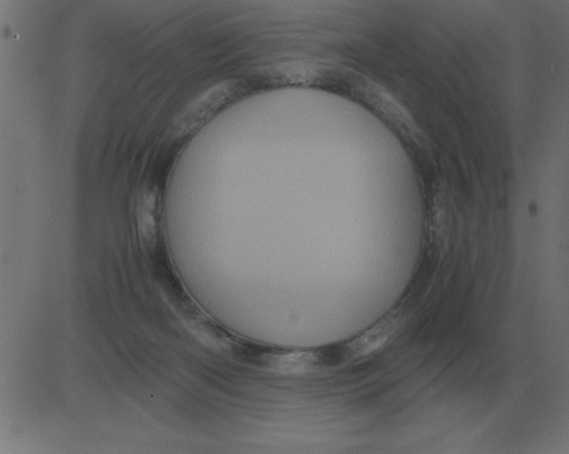 X0000081350122200702020124