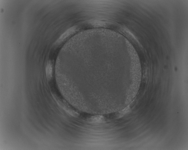 X0000081350124200702020124