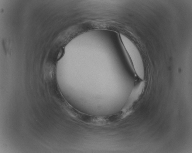 X0000081350125200702020124