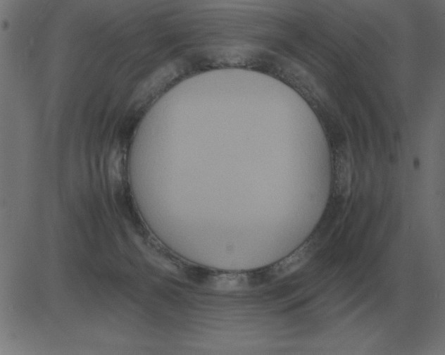 X0000081350126200702020124