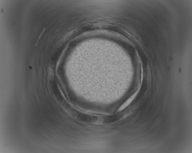 X0000081350127200702020124