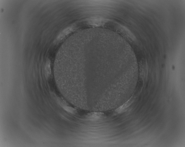 X0000081350128200702020124