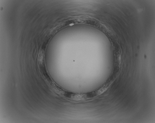 X0000081350129200702020124