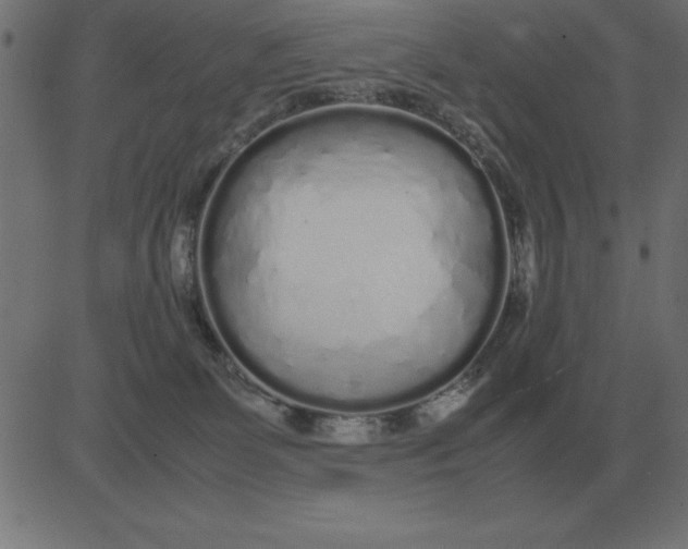 X0000081350131200702020124