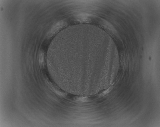 X0000081350132200702020124