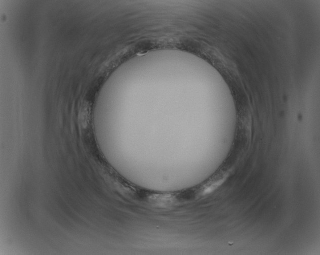 X0000081350133200702020124