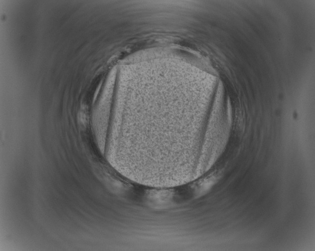 X0000081350135200702020124