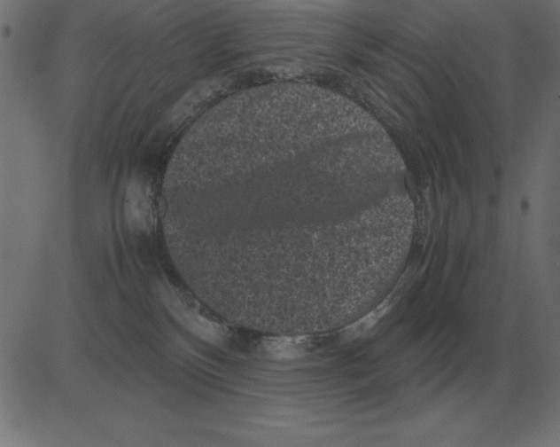 X0000081350136200702020124