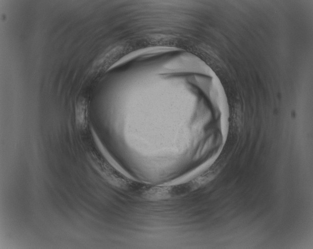 X0000081350138200702020124