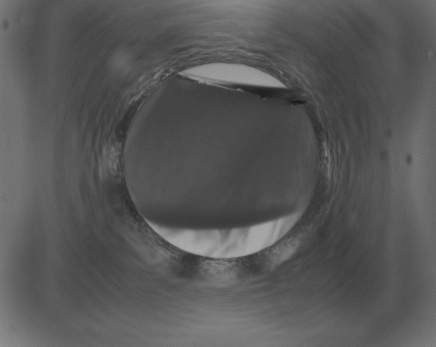 X0000081350139200702020124