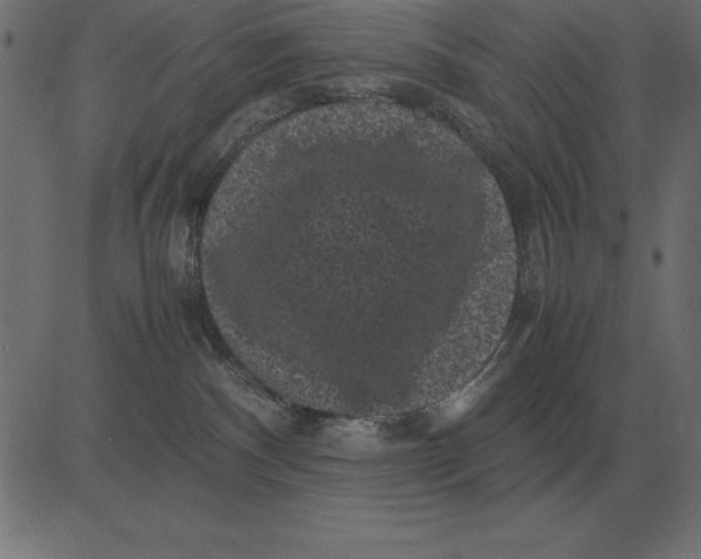 X0000081350140200702020124