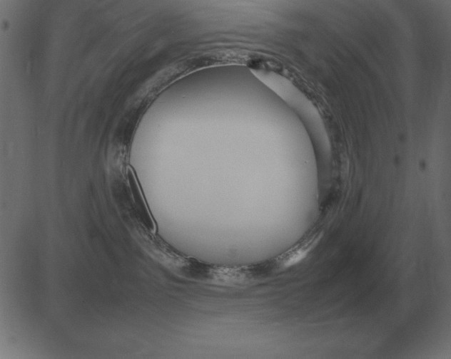 X0000081350141200702020124