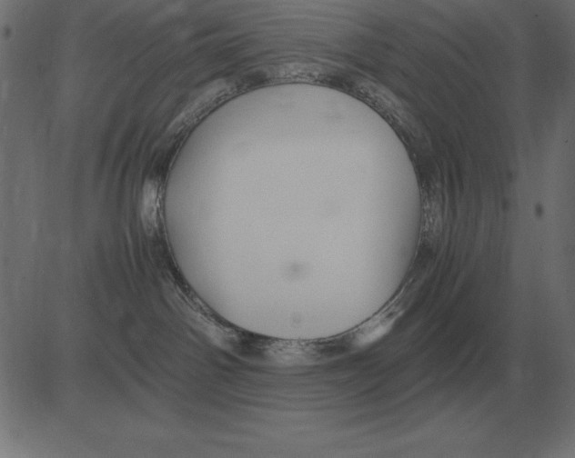 X0000081350142200702020124