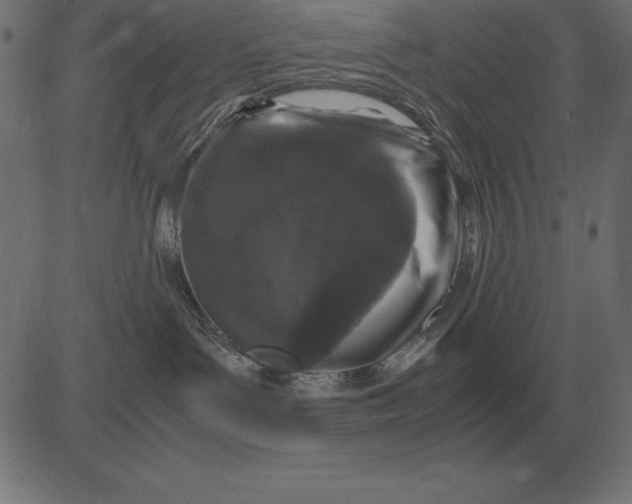 X0000081350143200702020124