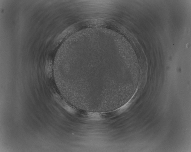 X0000081350144200702020124