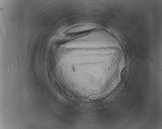 X0000081350145200702020123