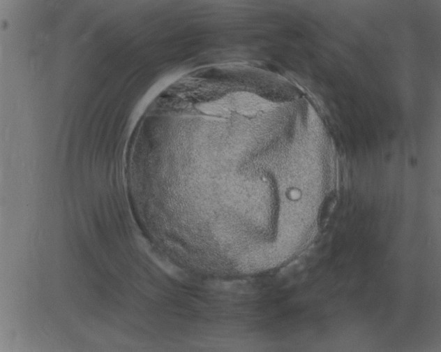 X0000081350147200702020123