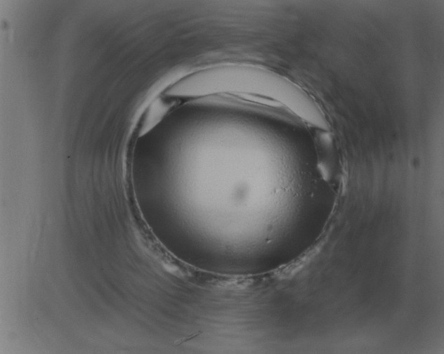 X0000081350148200702020123