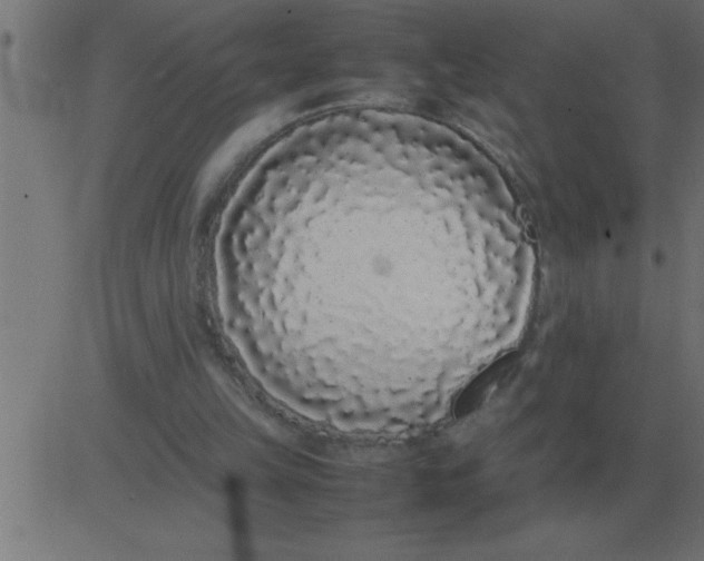 X0000081350149200702020123