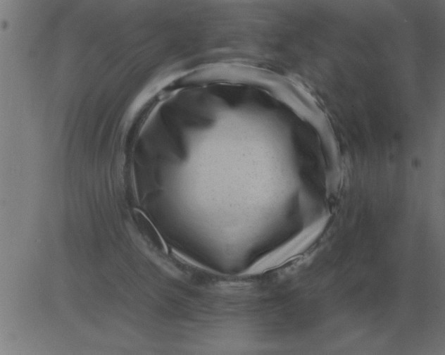 X0000081350150200702020123