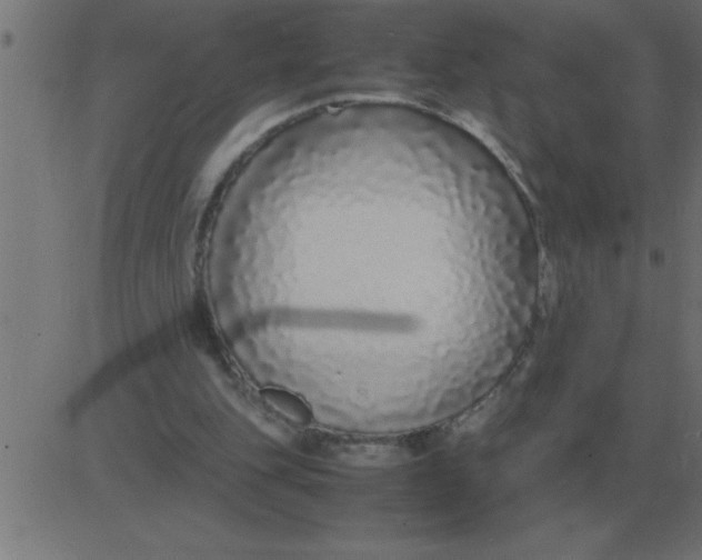 X0000081350151200702020123