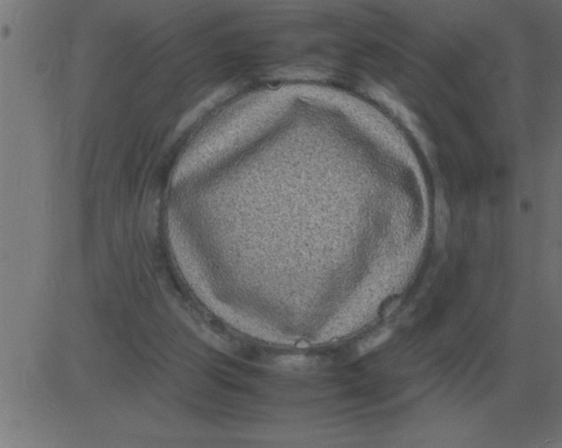 X0000081350153200702020123