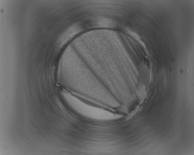 X0000081350154200702020123