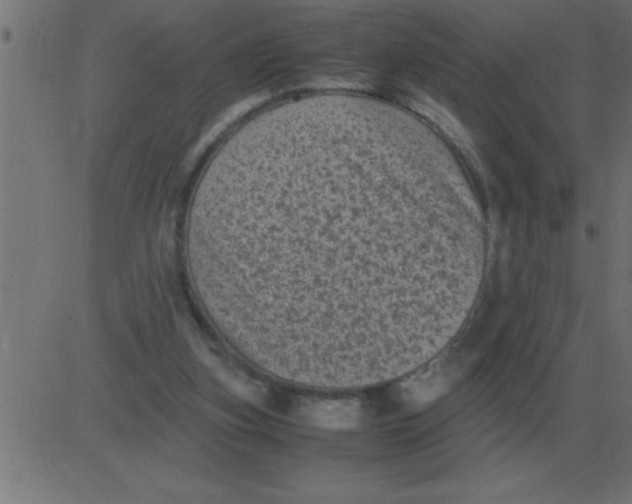 X0000081350155200702020123