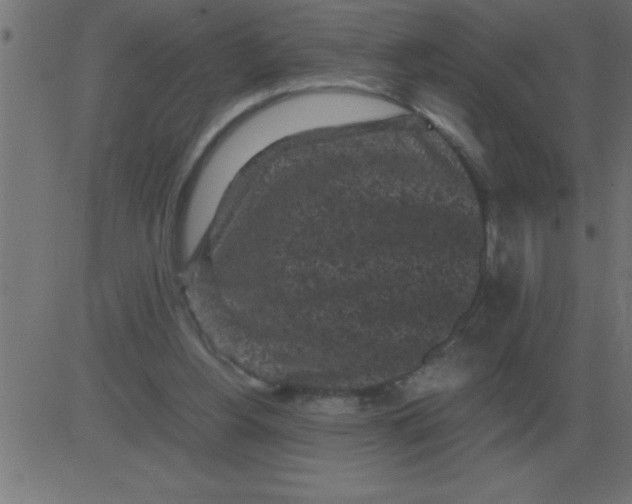 X0000081350156200702020123