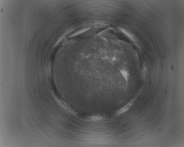 X0000081350158200702020123