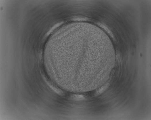 X0000081350159200702020123