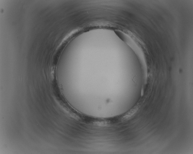 X0000081350160200702020123