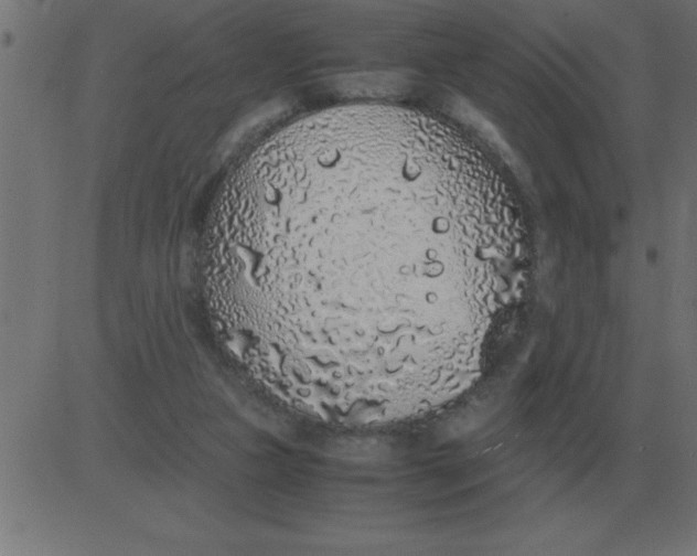 X0000081350161200702020123