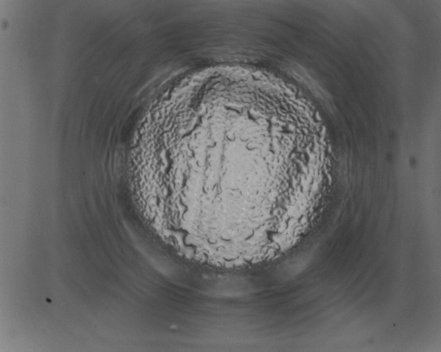 X0000081350165200702020123