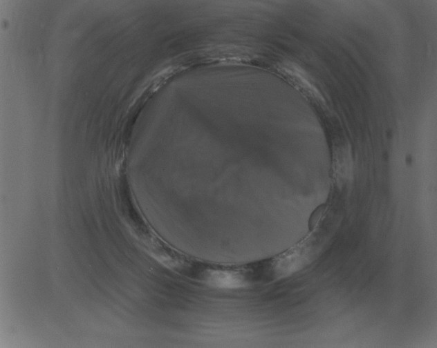 X0000081350167200702020123