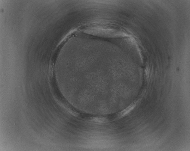 X0000081350168200702020123