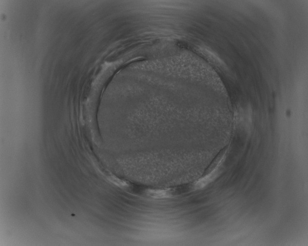 X0000081350170200702020123