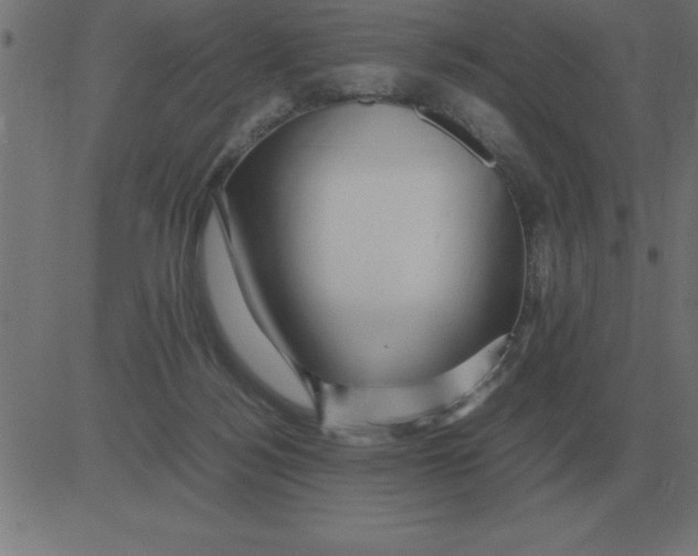 X0000081350172200702020123