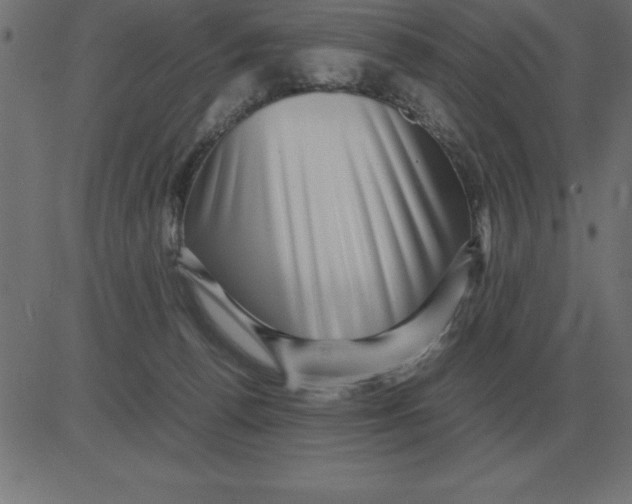 X0000081350176200702020123