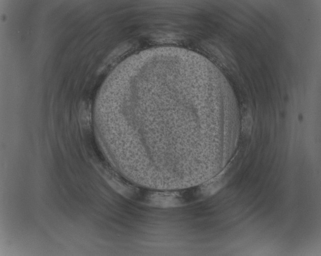 X0000081350179200702020123