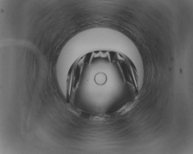 X0000081350180200702020123