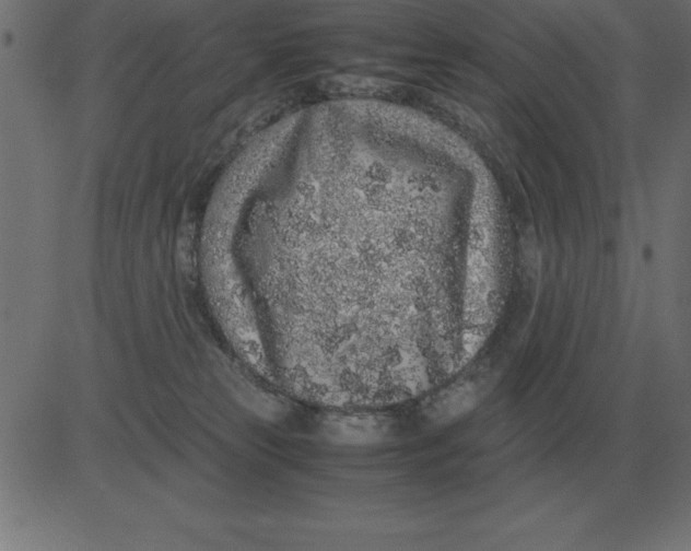 X0000081350181200702020123