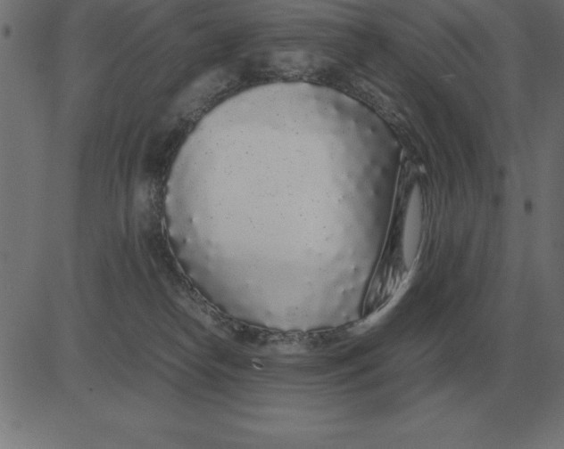 X0000081350182200702020123