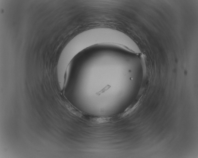 X0000081350184200702020124