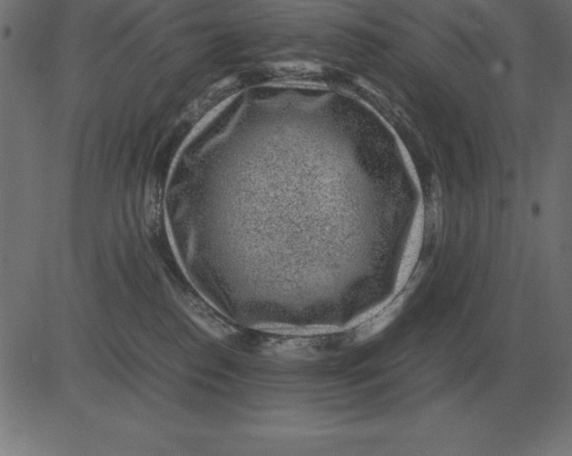 X0000081350186200702020124