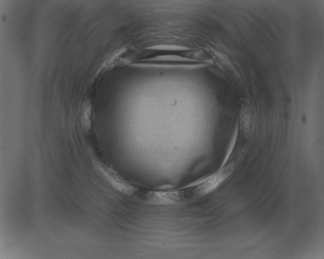 X0000081350188200702020124