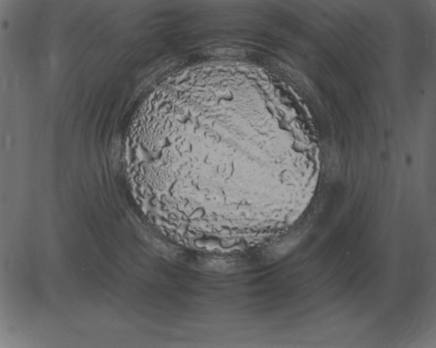 X0000081350189200702020124